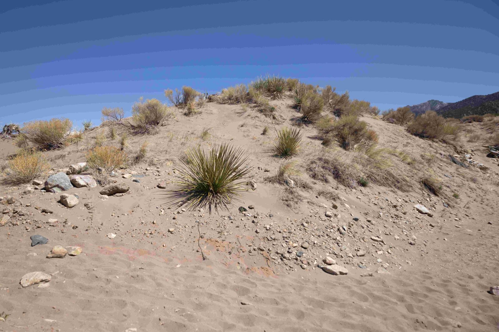 great sand dunes national park from pueblo