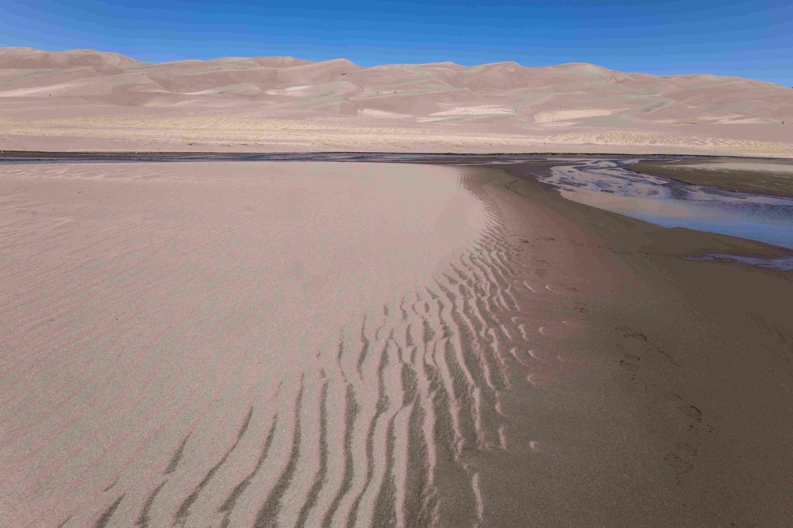 is great sand dunes national park a desert