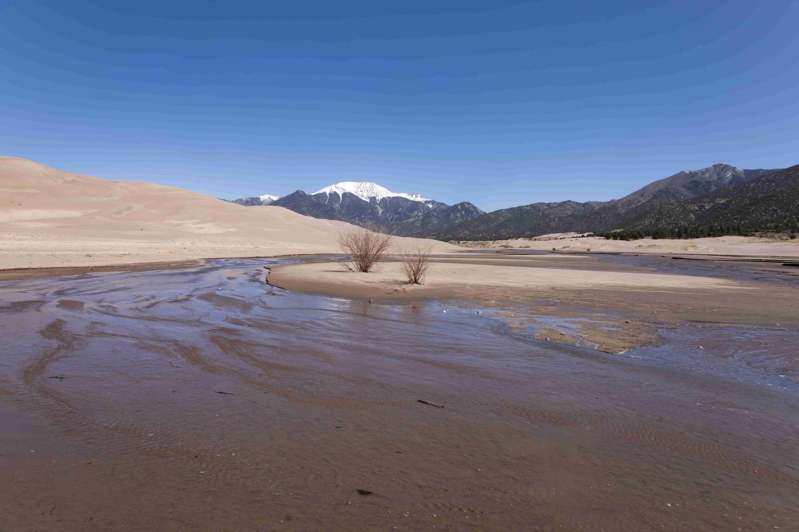 las vegas to great sand dunes national park